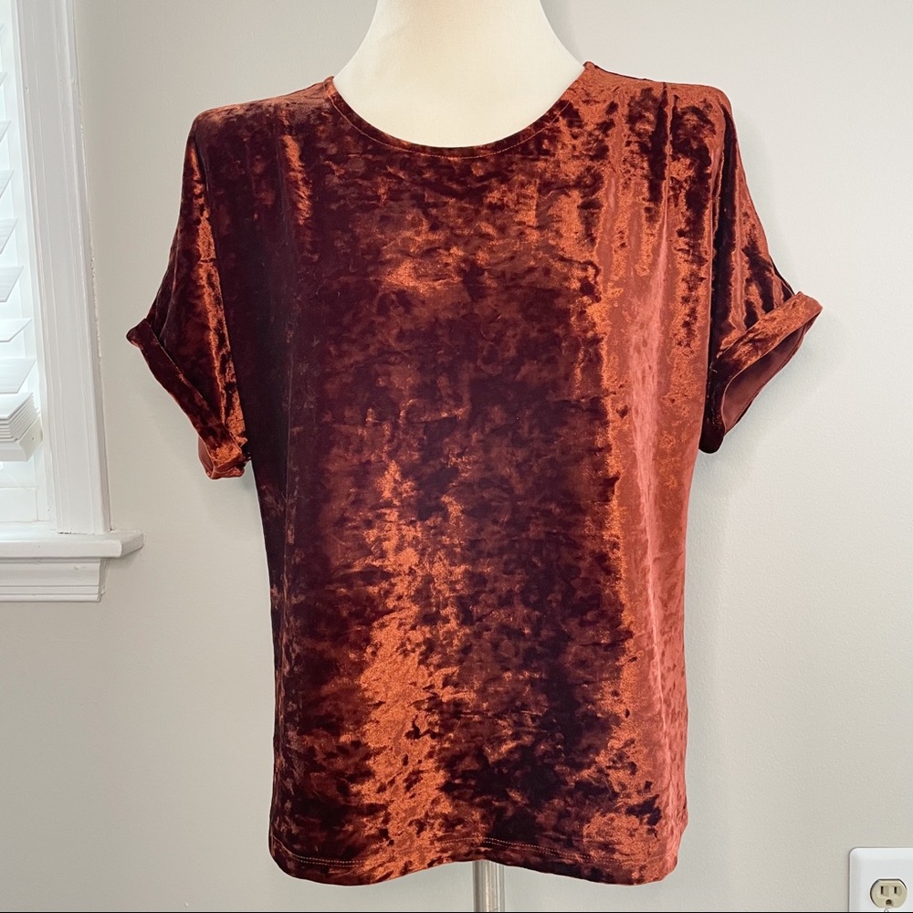 Anthro W5 Copper Crushed Velvet Cold Shoulder Top